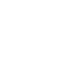 XV